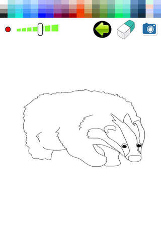 Badger Animals Drawing Game For Kids screenshot 2