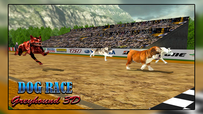 Dog Race Greyhound 3D- Dog Racing Game - Pet Show screenshot 4