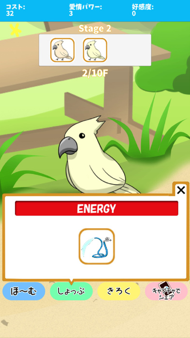 birdwatch ~healing-game~ screenshot 4