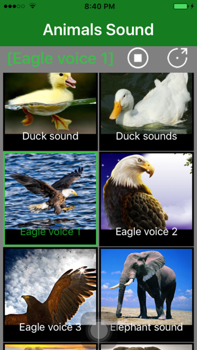 Animals Sound - Animal Sound Effects Free screenshot 3