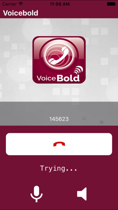 VoiceBold screenshot 3