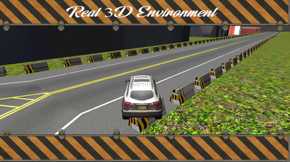 New City Car Parking Simulator - Fast Driving screenshot 4