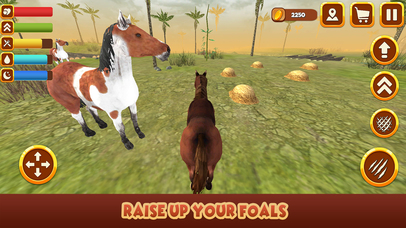 Wild Mustang Horse Survival Simulator screenshot 4