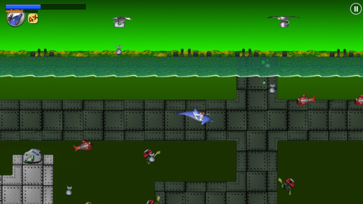 iPhone Screenshot 3