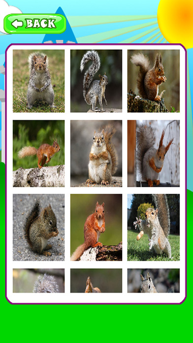 Squirrel Picture For Learn Jigsaw Puzzles Version screenshot 2