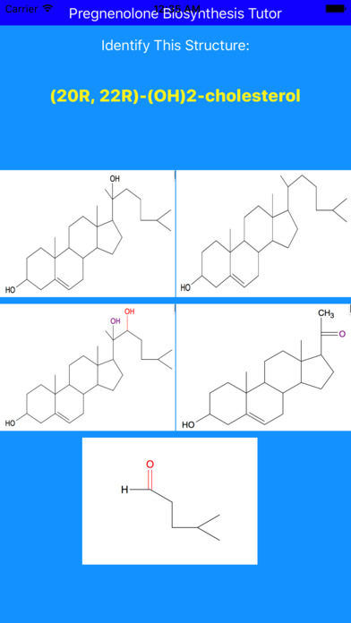 Pregnenolone Synthesis Tutor screenshot 2