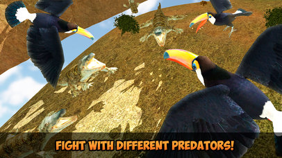 Toucan Simulator: Flying Bird Life 3D screenshot 2