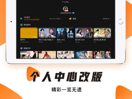 iPad 屏幕截图 5
