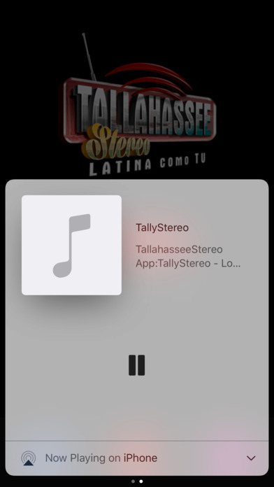 TallyStereo screenshot 3
