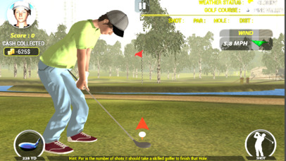 Golf Simulator 2017 screenshot 2