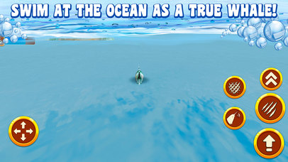 Narwhal Whale Survival Simulator 3D screenshot 4
