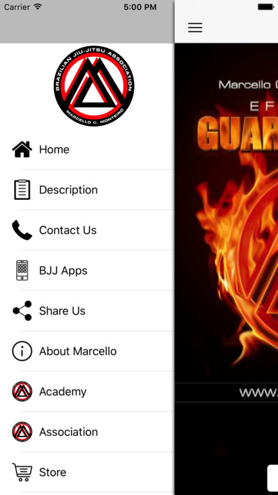 iPhone Screenshot 2