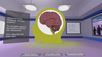 Headway Brain Explorer screenshot 2