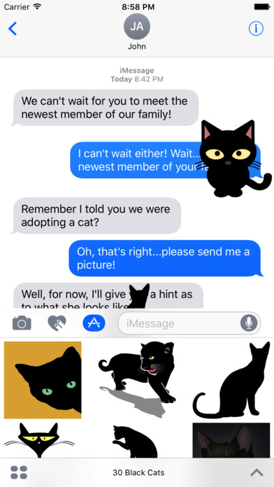 30 Black Cats screenshot 2