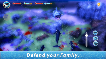 Orca Family Simulator screenshot 3