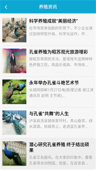中国孔雀网 screenshot 3