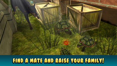Turtle Simulator: House Pet Life screenshot 3