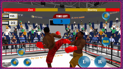 Punch Boxing Match : Real Boxing Game - Pro screenshot 3