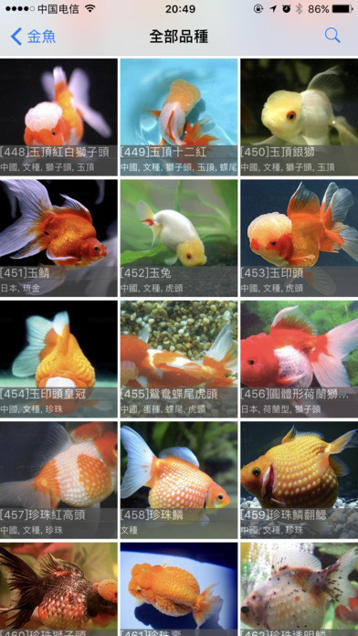 金魚 screenshot 2