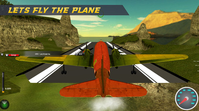 Flight Simulator: Flying Pilot screenshot 2