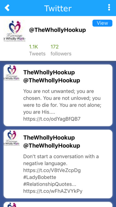 The Wholly Hook-up screenshot 2