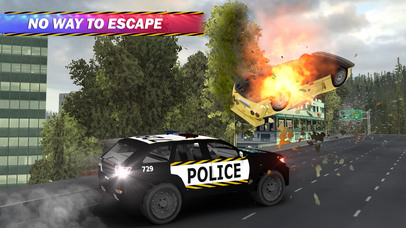 Police Car Chase : Hot Pursuit screenshot 3