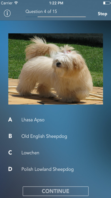 Dog Quiz - Guess the Breed Trivia screenshot 2