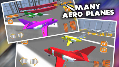 Real Airplane Driving Simulator Pro screenshot 2