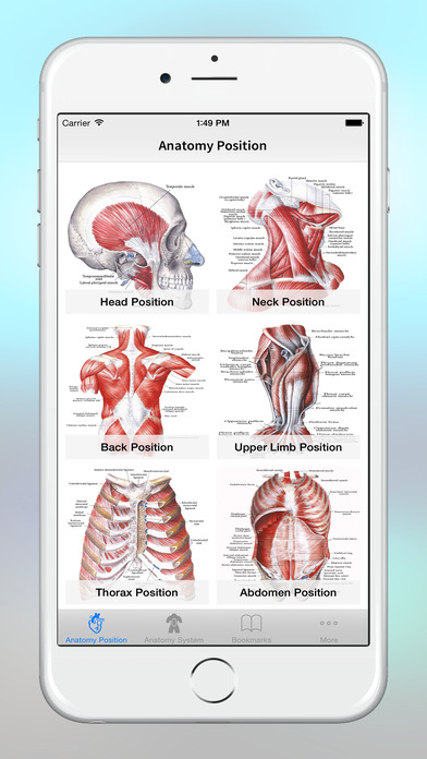 Anatomy - 1K+ Illustrations screenshot 3