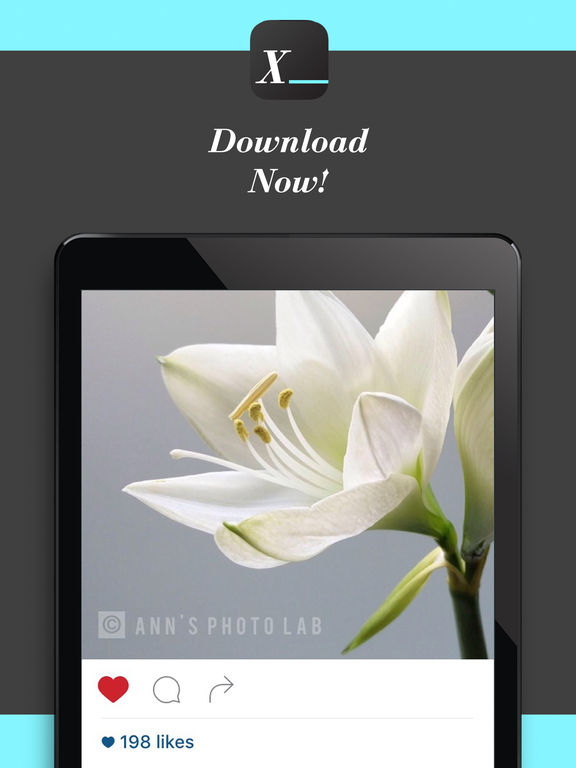 Screenshots of Watermark Studio X Free - Copyright & Trademark.s for iPad