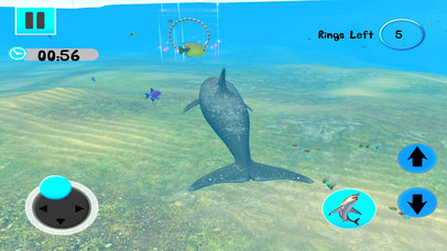 3D Classic Dolphin Simulator screenshot 3