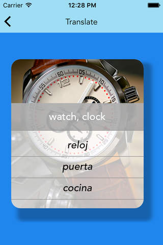 Essential Spanish Vocabulary Flashcards screenshot 4