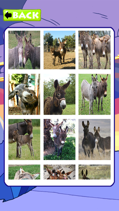 Jigsaw Donkey Games Puzzles For Kids screenshot 2