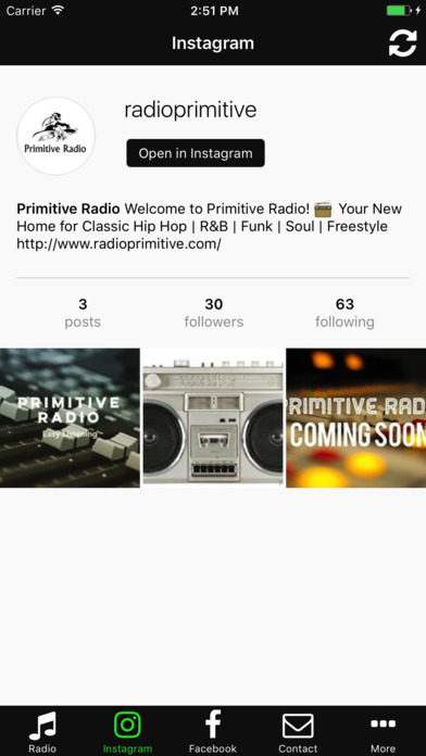 Primitive Radio screenshot 2