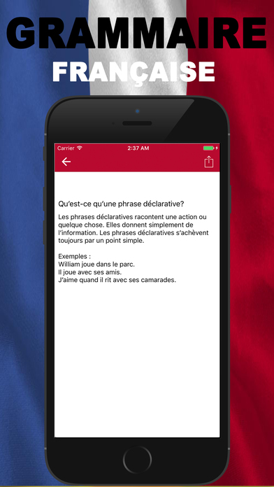 Grammaire Francaise screenshot 4