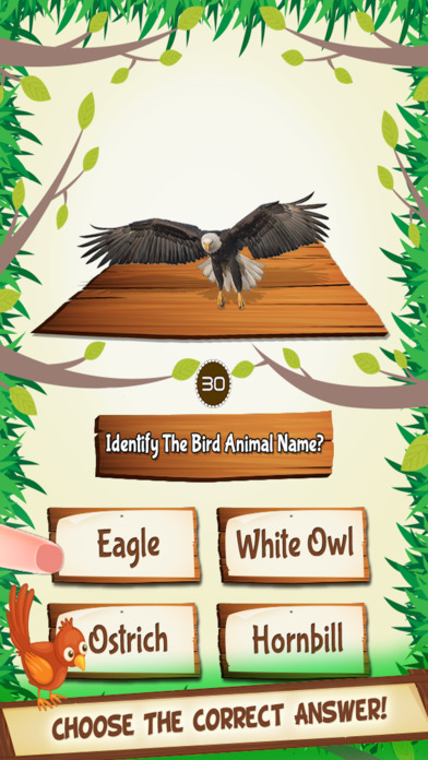 Bird Quiz Kids Game Pro screenshot 3