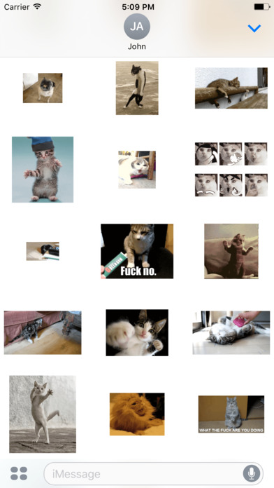 Funny Animal Cat Baby Stickers screenshot 2