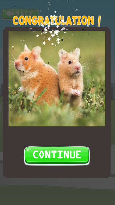 Puzzle Learning Games For Hamster screenshot 4