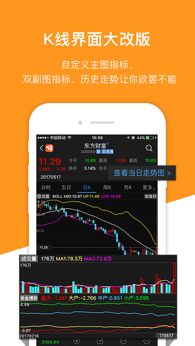 iPhone Screenshot 4