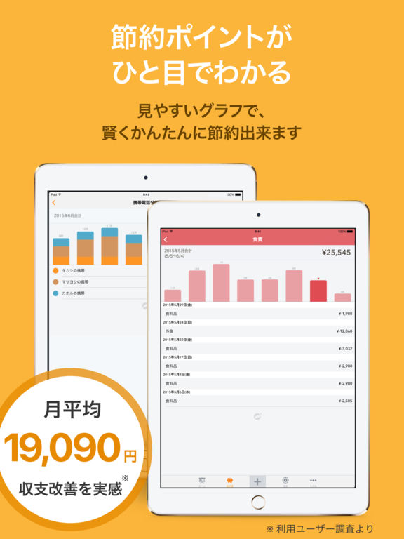 iPad Screenshot 3