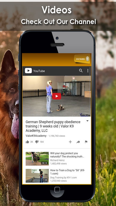 K9 German Shepherds Watch Dogs - Rescue Dogs Prem screenshot 3