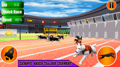 Dog Racing Simulator Game 2017 screenshot 2