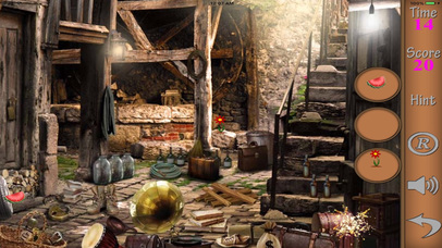Hidden Objects Of A Holiday Mansion screenshot 3
