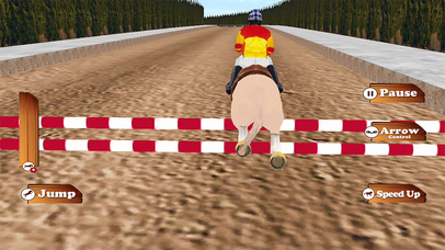 Jumping Horse 3D Simulator Racing Game -Pro screenshot 4
