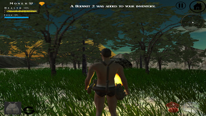 Survival World 3D screenshot 2