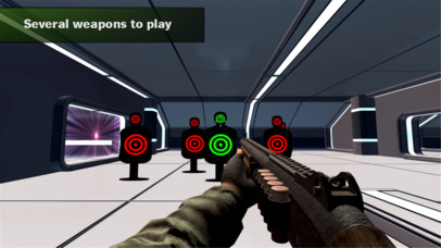 Range Shooting Simulation 3D Gun Shooting screenshot 2