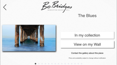 Bo Bridges Gallery screenshot 4