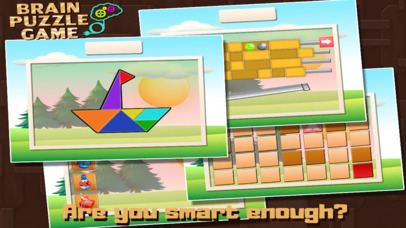 Brain Puzzles Game Pro screenshot 4