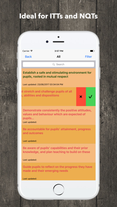 Teacher Standards Checklist en screenshot 2
