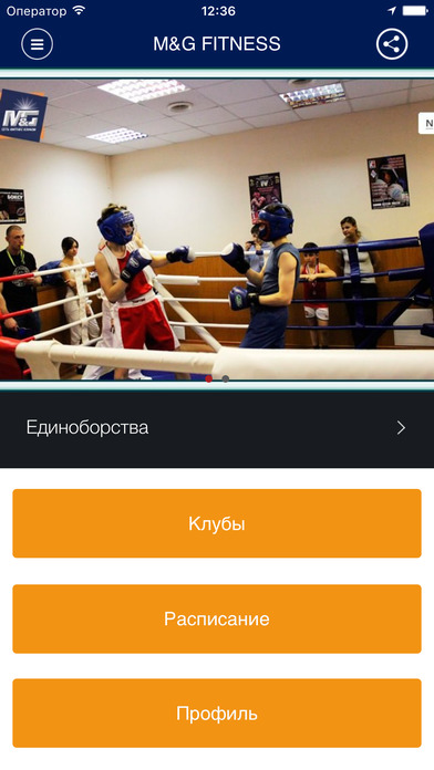 Снимок экрана iPhone 1